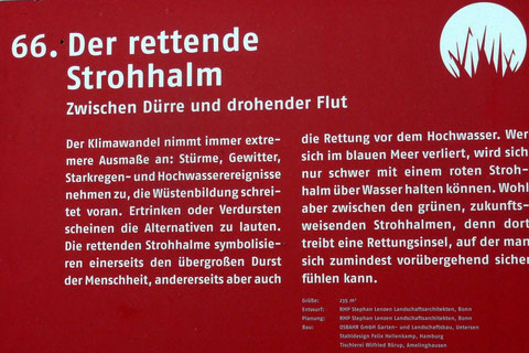 66. Der rettende Strohhalm  Zwischen Dürre und drohender Flut