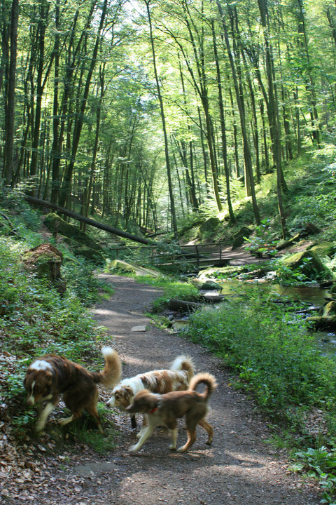 Karlstalschlucht