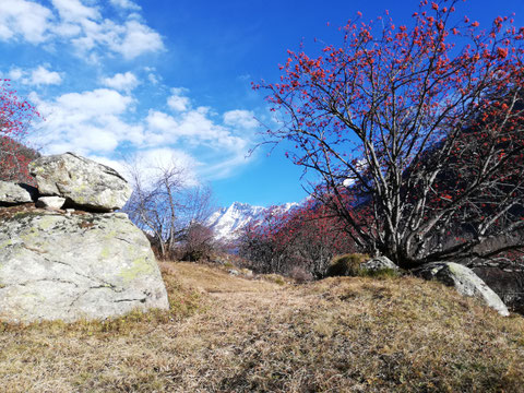 Lötschental im Spätherbst