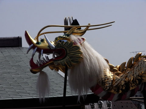 金龍舞。看到不知道會不會發財?!