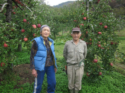 ↑生産者の細谷夫妻。じっち77歳、ばっぱ75歳