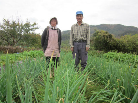 ↑色々な野菜を育てているお2人。この日は久々に一緒に写真を撮ったと喜んでいました