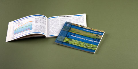 I.N.E.A. - Editorial Design