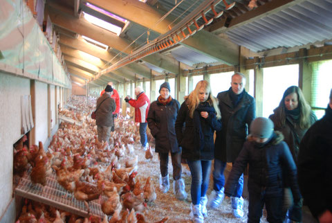 Besichtigung der Freilandhaltung Geflügelhof Schönecke, Fotos: Angela Heinssen