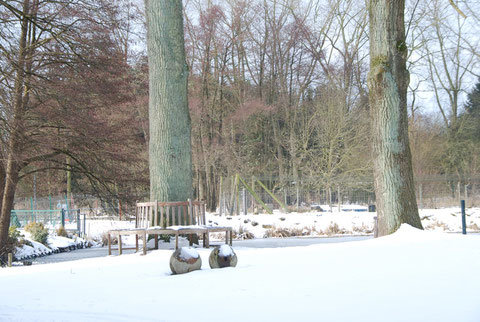 Teichlandschaft am Forellenhof Wilke,Foto: Angela Heinssen