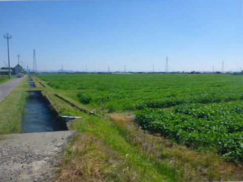 田畑・用水路の写真