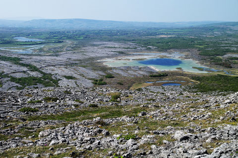 アイルランド バレン高原