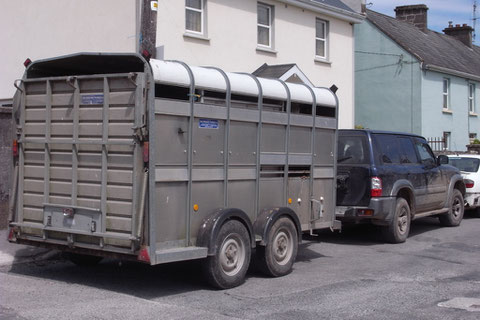 アイルランド・田舎・牛・自動車