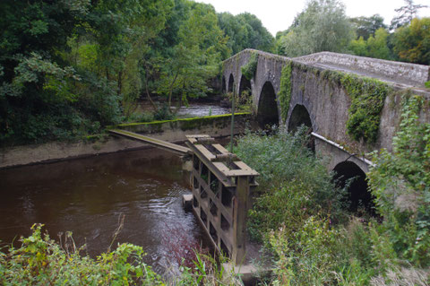 アイルランド 橋