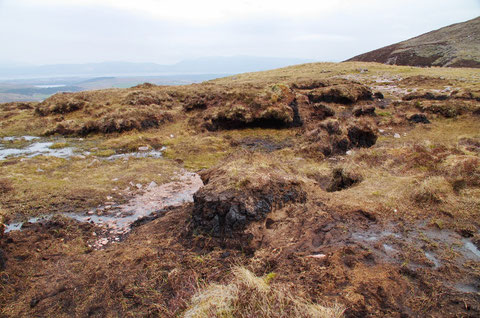 アイルランドの泥炭地