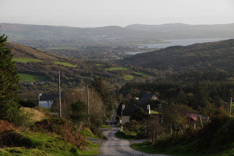 アイルランド 田舎