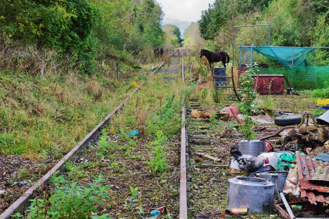 アイルランド 馬 鉄道 線路