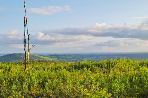 アイルランド 登山