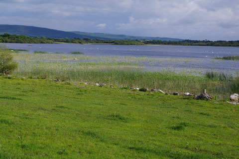 アイルランド 湖