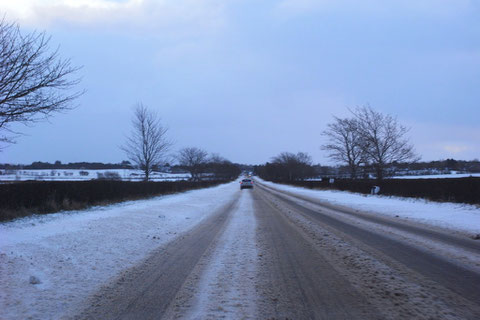 アイルランド 雪