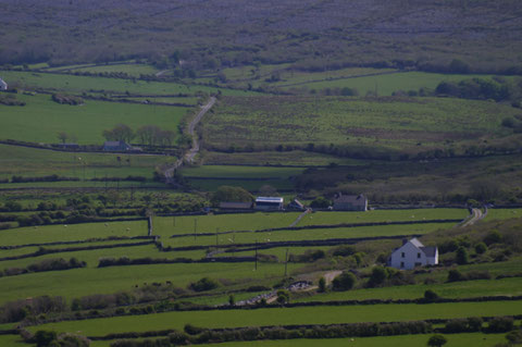 アイルランド 田舎