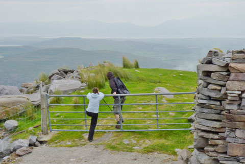 アイルランド 牧場 農地 ウォーキング