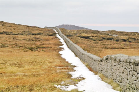 アイルランド 観光 旅行