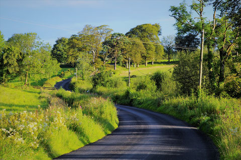 アイルランド 田舎
