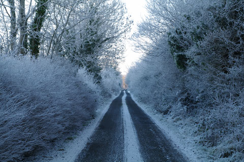 アイルランド 雪