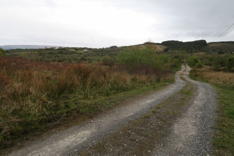 アイルランド 田舎 村