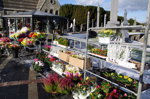 Glasnevin Cemetery