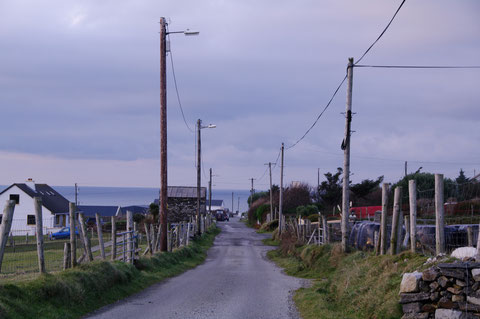 アイルランド 田舎道