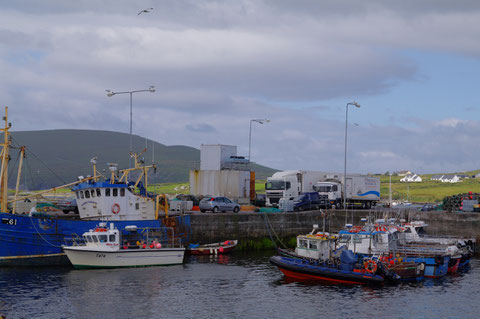 アイルランド 田舎