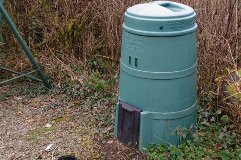アイルランド 田舎