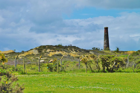 アイルランド・風景