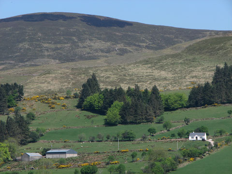 アイルランドの田舎