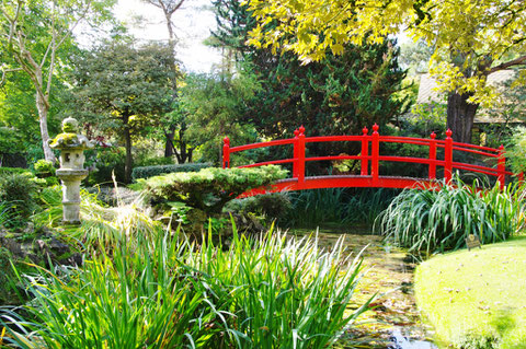 アイルランド 日本庭園 キルデア