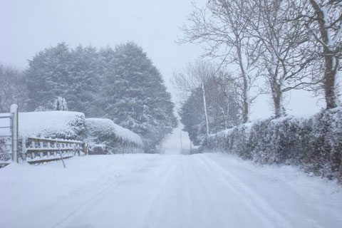 アイルランド 雪