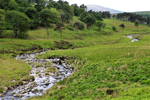 River Liffey  リフィー川 アイルランド