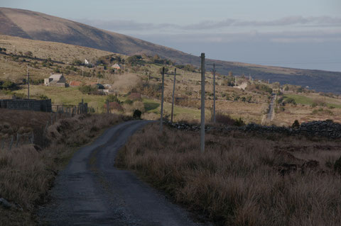 アイルランド 田舎