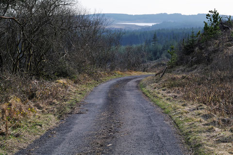 アイルランド 田舎