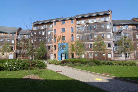 アイルランド 大学 留学