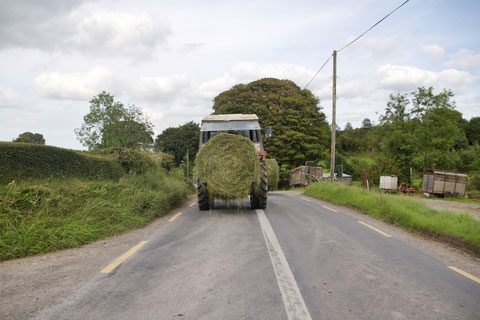 アイルランド 車