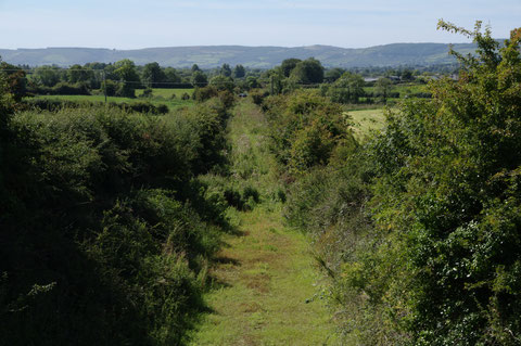 アイルランド 鉄道 廃線