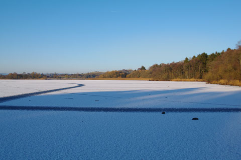 アイルランド 雪