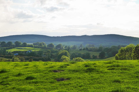 ウエストミーズ州 最高峰 Mullaghmeen