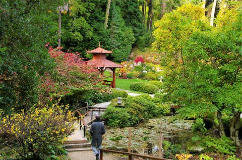 アイルランド 日本庭園