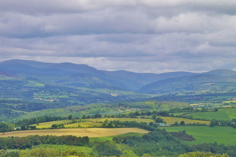 アイルランド - 田舎 - 風景