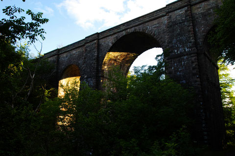 アイルランド 鉄道