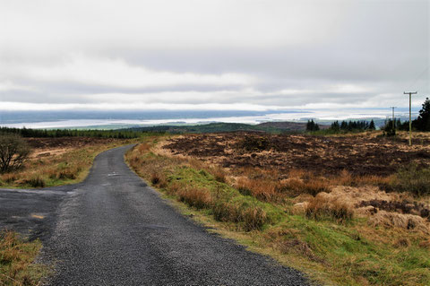 アイルランド田舎