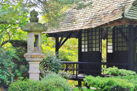 アイルランド 日本庭園 キルデア