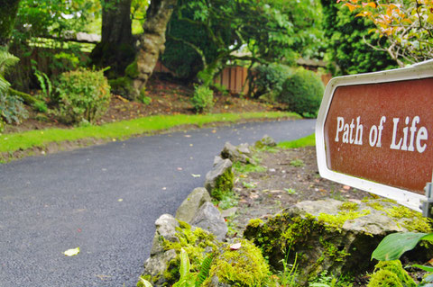 アイルランド 日本庭園 キルデア州