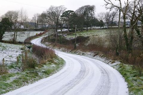 アイルランド 田舎
