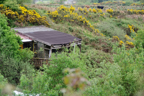 アイルランド 田舎