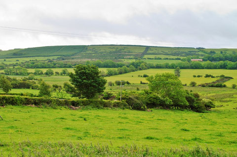 Cupidstown Hill Kildare